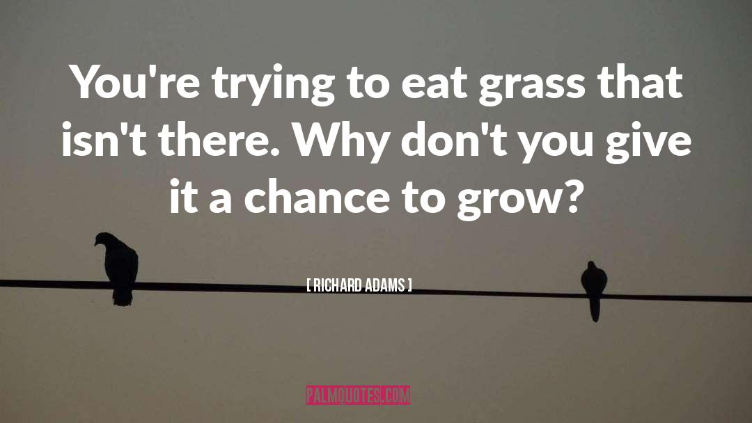 Richard Adams Quotes: You're trying to eat grass