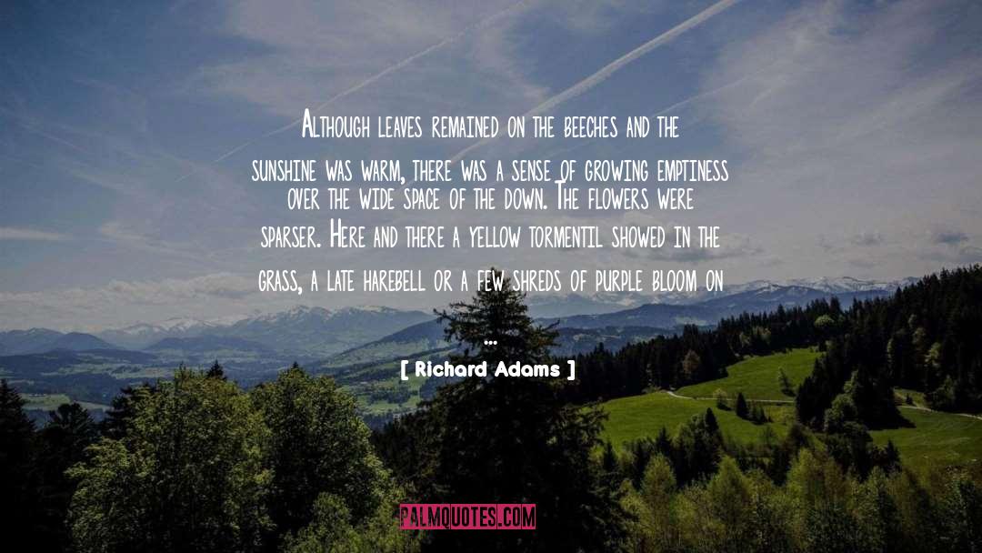 Richard Adams Quotes: Although leaves remained on the