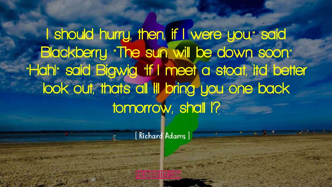 Richard Adams Quotes: I should hurry, then, if