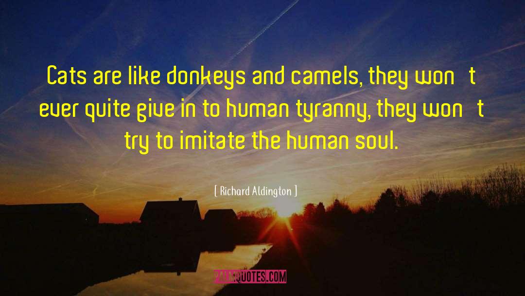 Richard Aldington Quotes: Cats are like donkeys and