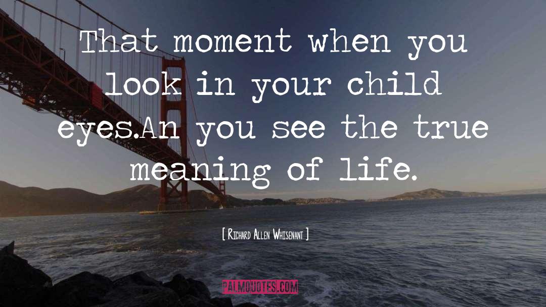 Richard Allen Whisenant Quotes: That moment when you look