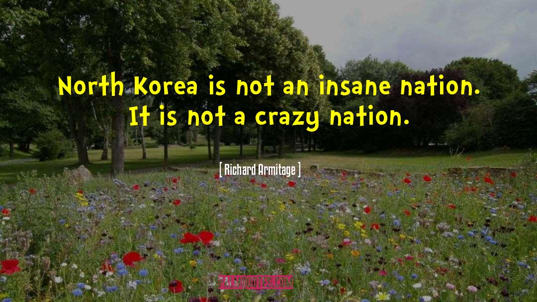 Richard Armitage Quotes: North Korea is not an