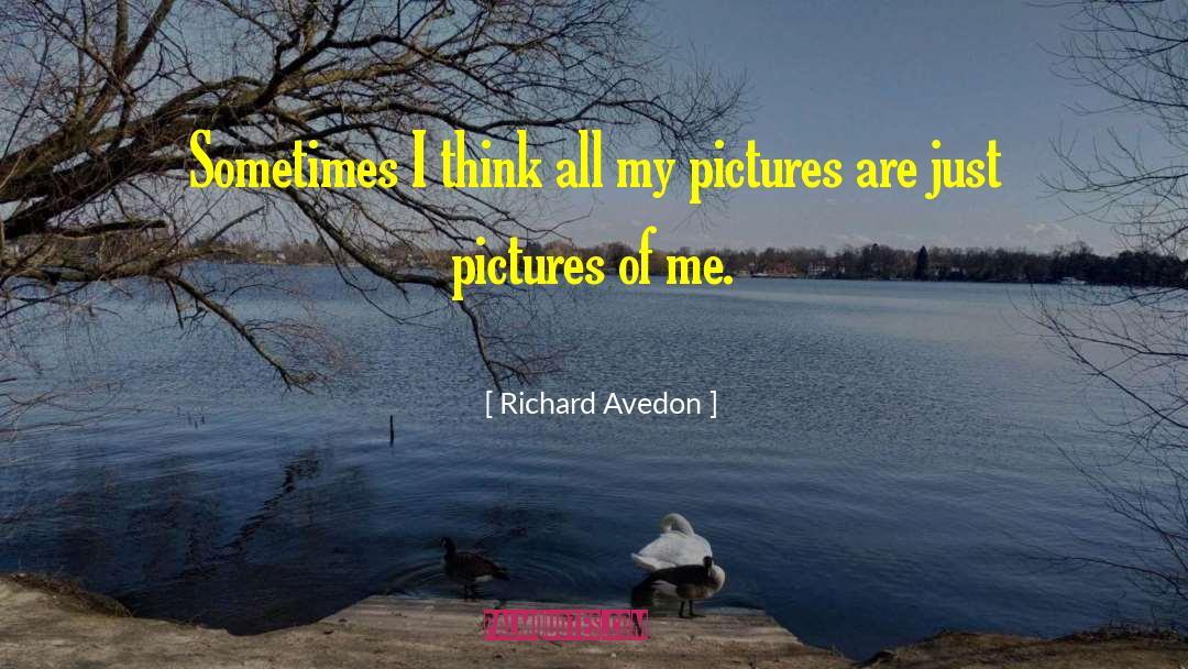 Richard Avedon Quotes: Sometimes I think all my