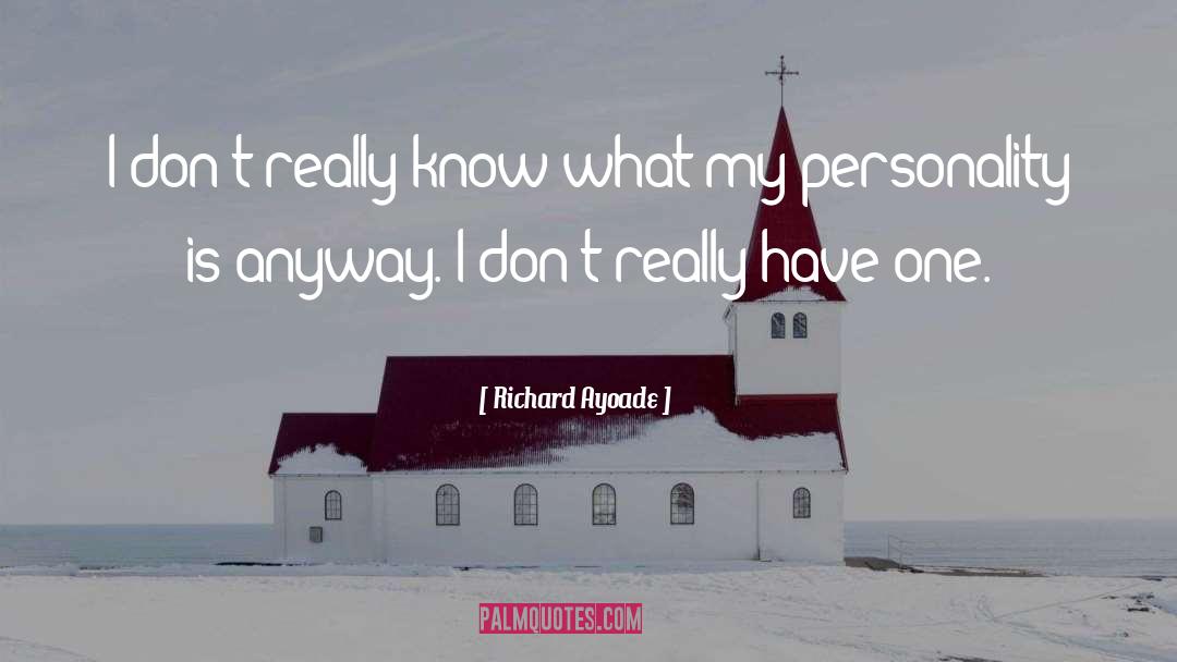 Richard Ayoade Quotes: I don't really know what