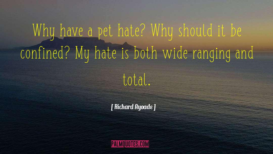 Richard Ayoade Quotes: Why have a pet hate?