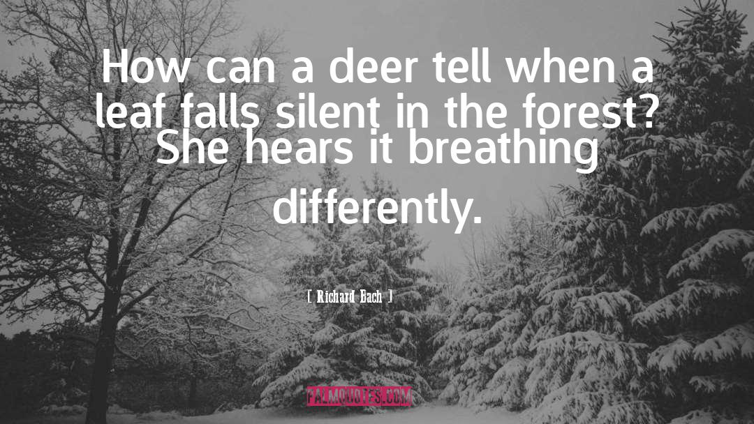 Richard Bach Quotes: How can a deer tell