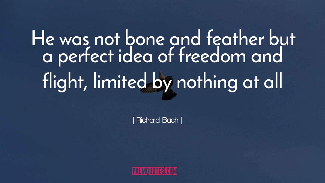 Richard Bach Quotes: He was not bone and