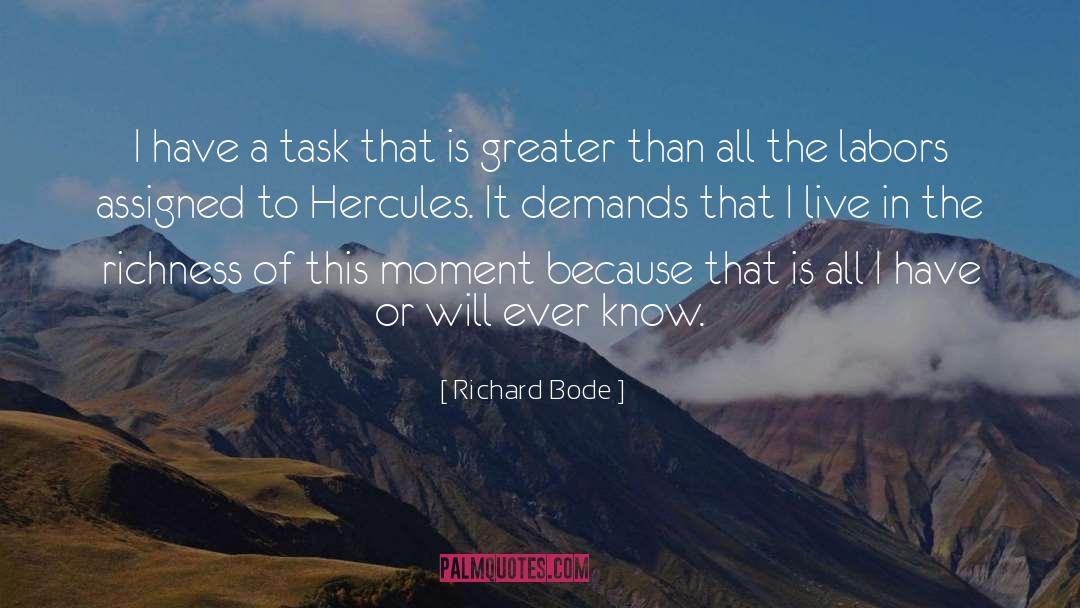 Richard Bode Quotes: I have a task that