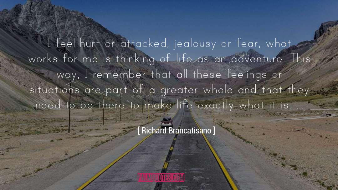 Richard Brancatisano Quotes: I feel hurt or attacked,