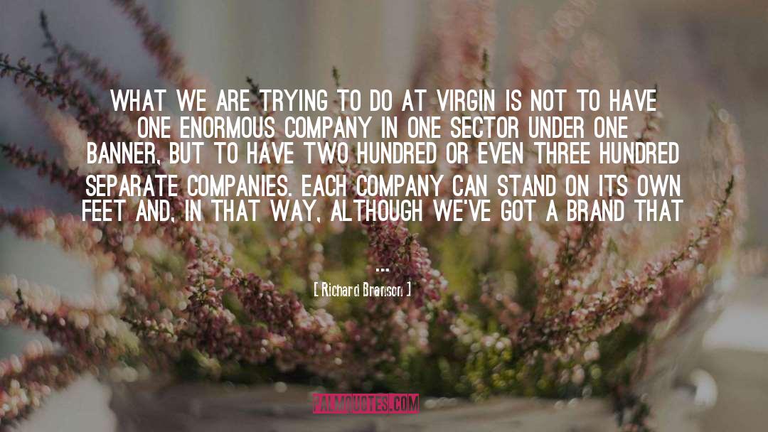 Richard Branson Quotes: What we are trying to