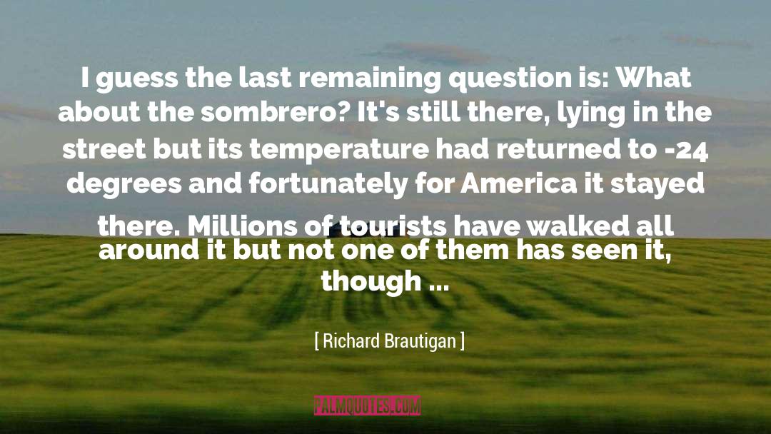 Richard Brautigan Quotes: I guess the last remaining
