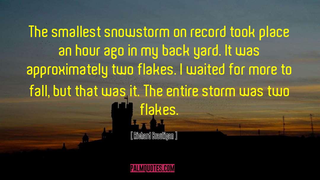 Richard Brautigan Quotes: The smallest snowstorm on record