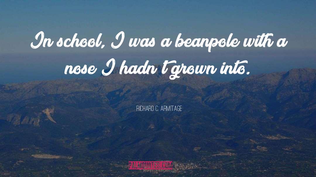 Richard C. Armitage Quotes: In school, I was a