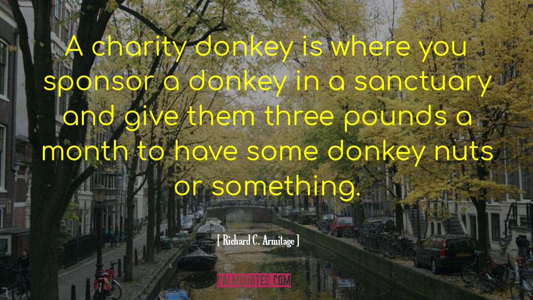 Richard C. Armitage Quotes: A charity donkey is where
