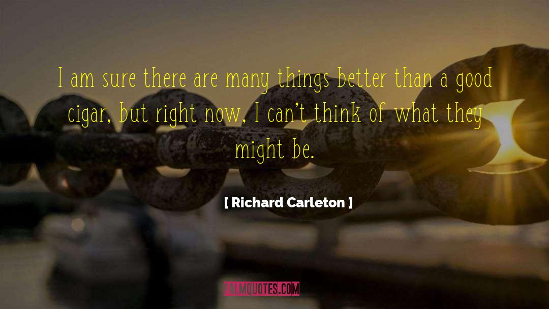 Richard Carleton Quotes: I am sure there are