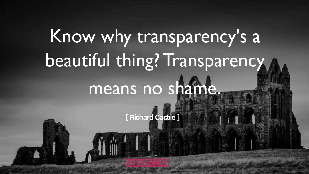 Richard Castle Quotes: Know why transparency's a beautiful