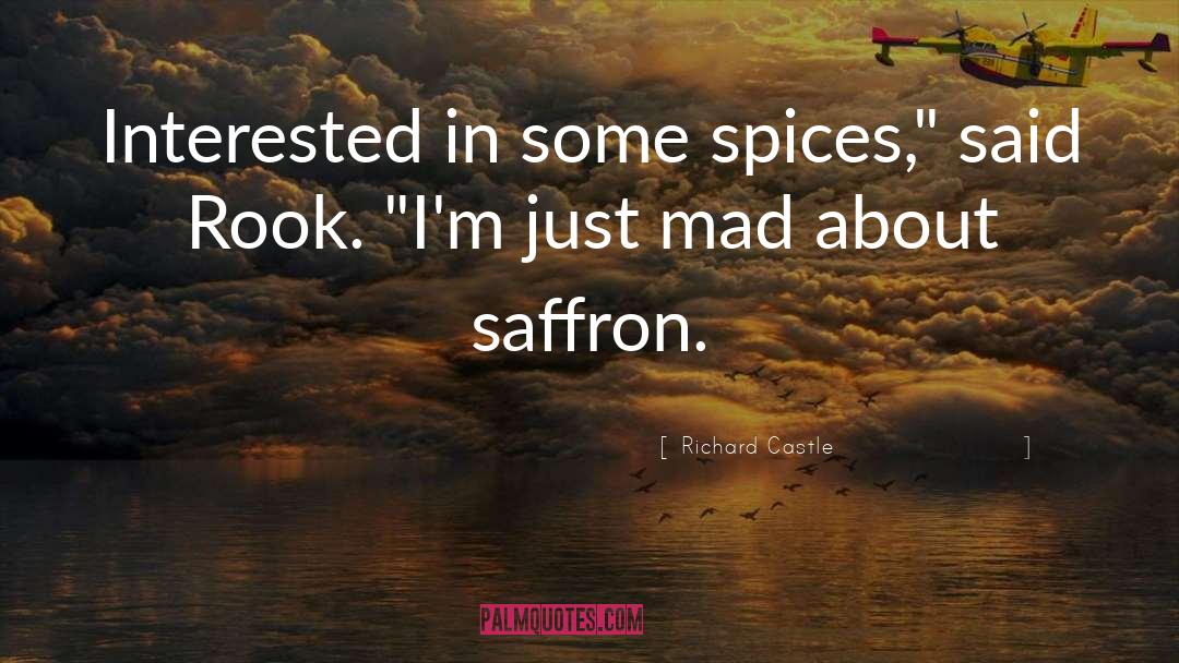 Richard Castle Quotes: Interested in some spices,