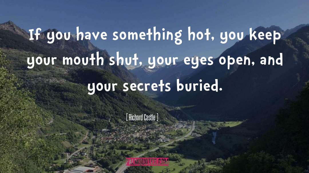 Richard Castle Quotes: If you have something hot,