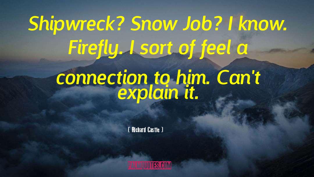 Richard Castle Quotes: Shipwreck? Snow Job? I know.