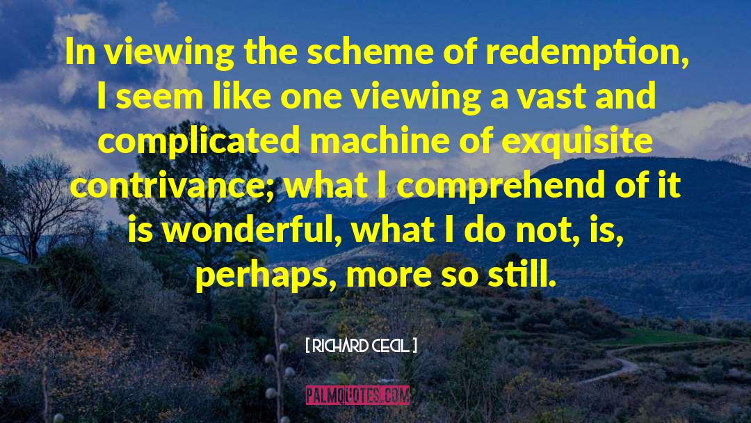 Richard Cecil Quotes: In viewing the scheme of