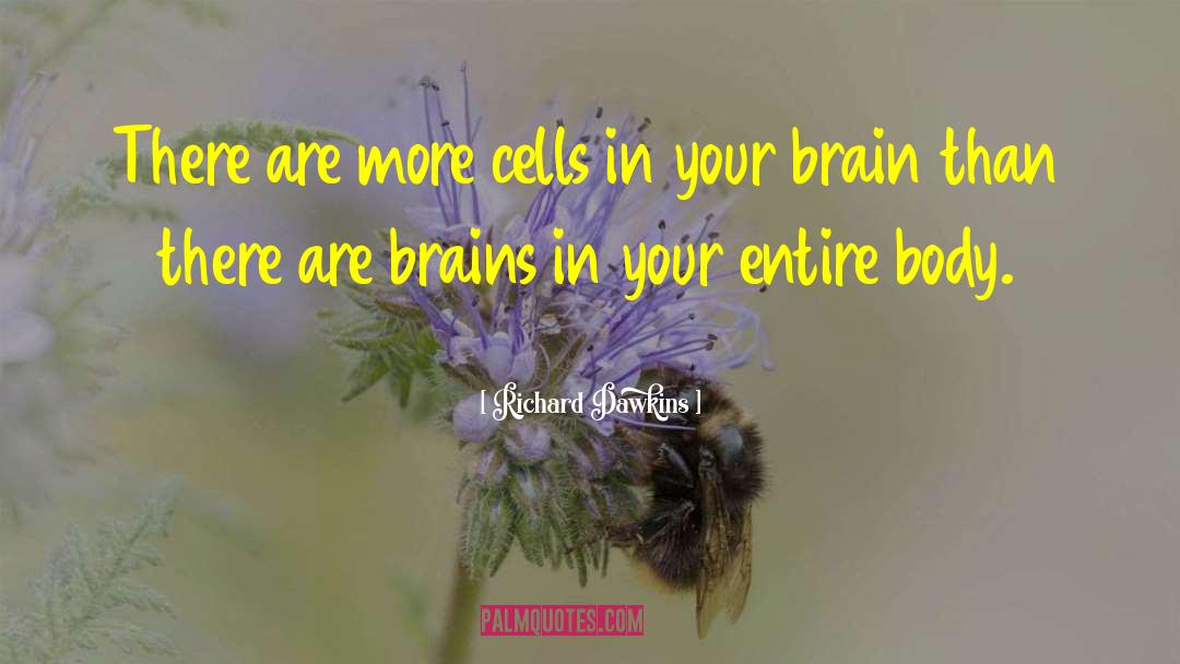Richard Dawkins Quotes: There are more cells in