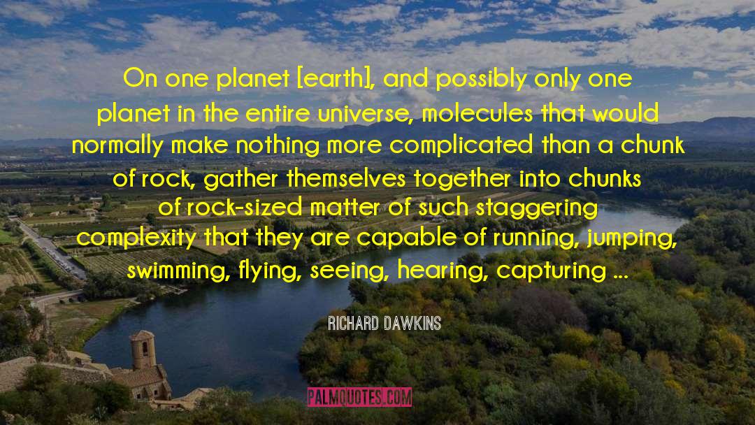Richard Dawkins Quotes: On one planet [earth], and