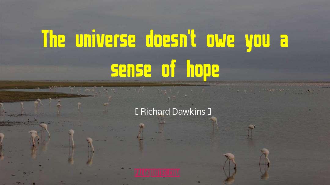 Richard Dawkins Quotes: The universe doesn't owe you