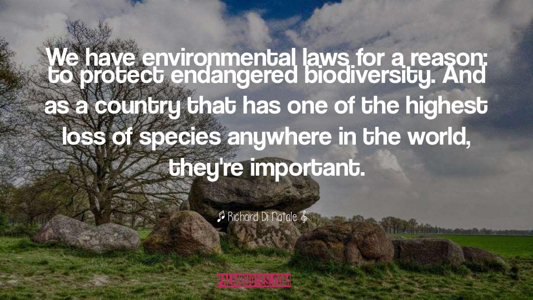 Richard Di Natale Quotes: We have environmental laws for