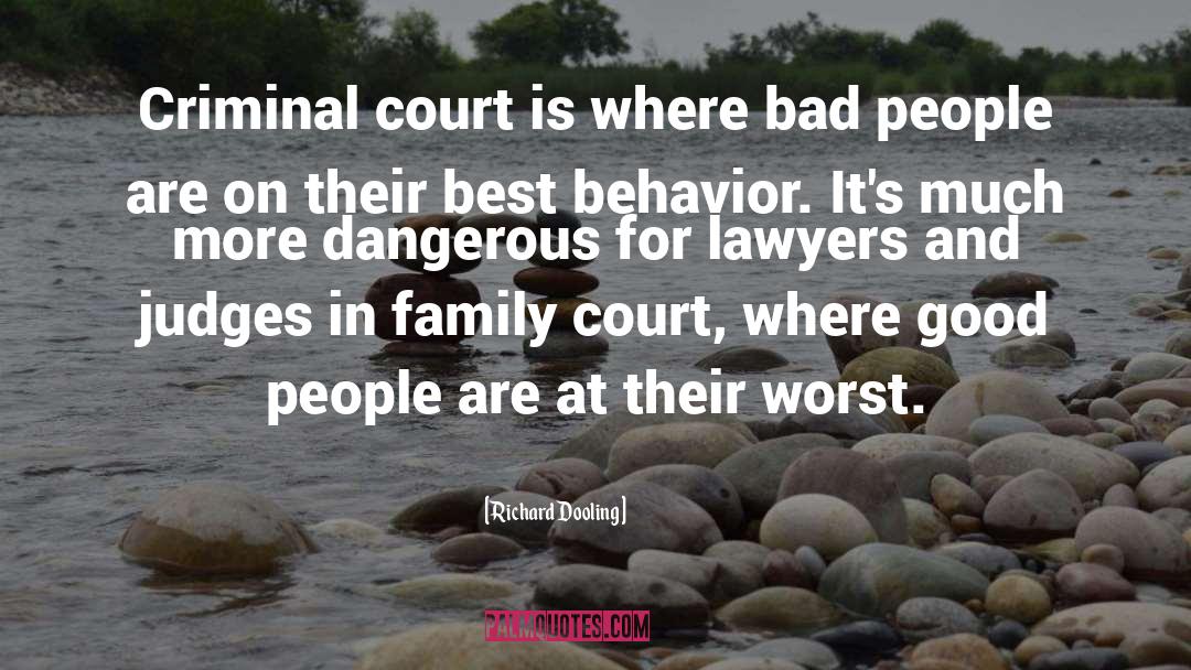 Richard Dooling Quotes: Criminal court is where bad