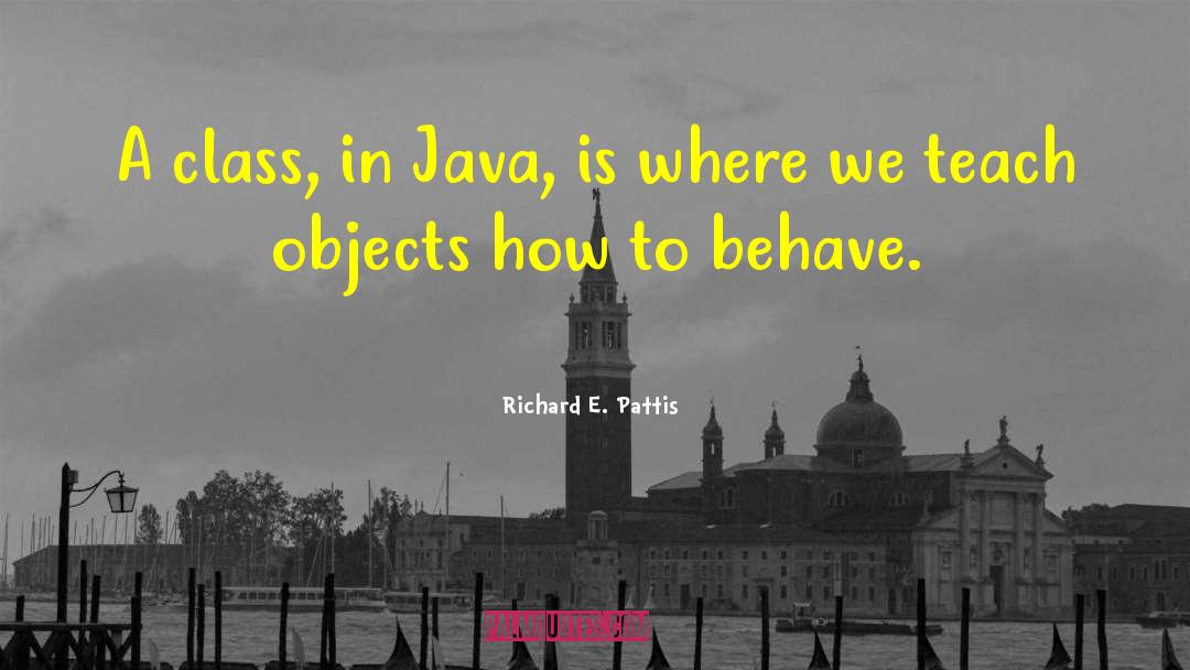 Richard E. Pattis Quotes: A class, in Java, is