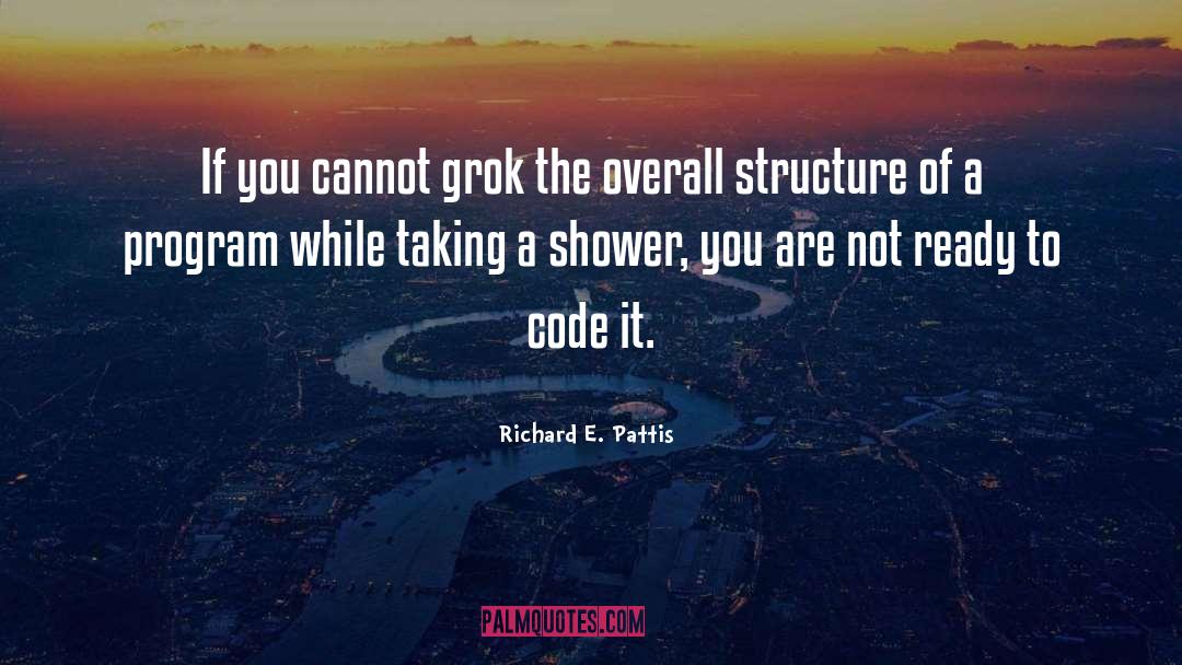 Richard E. Pattis Quotes: If you cannot grok the