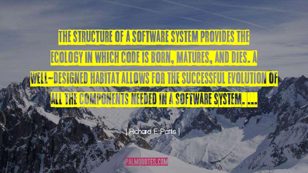 Richard E. Pattis Quotes: The structure of a software