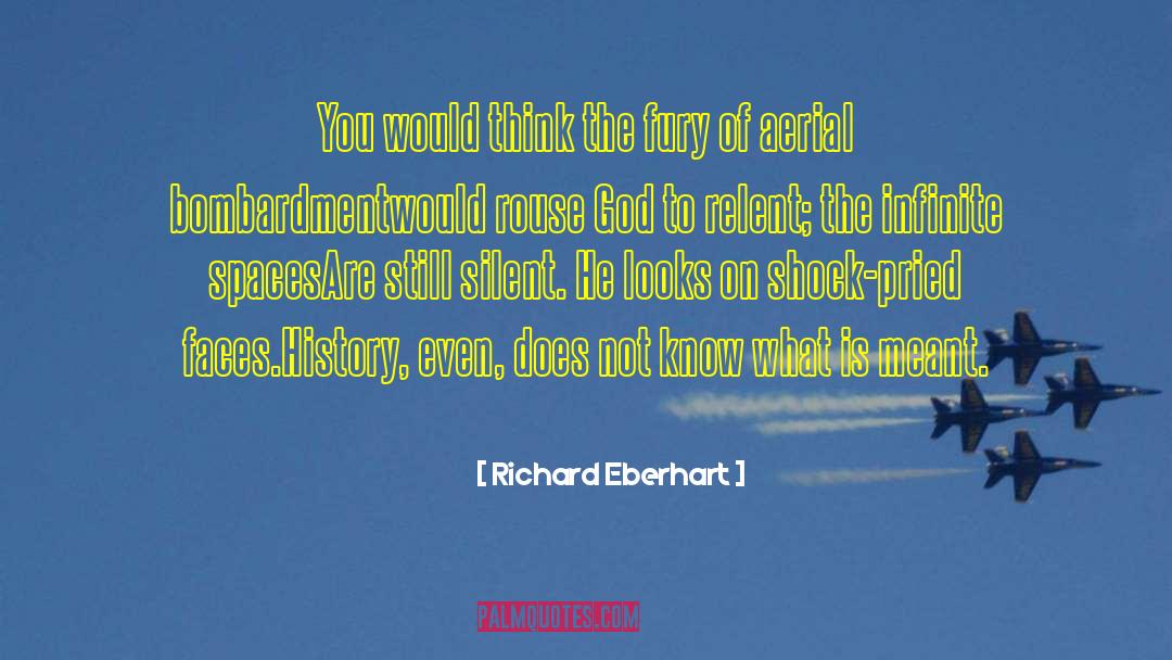 Richard Eberhart Quotes: You would think the fury