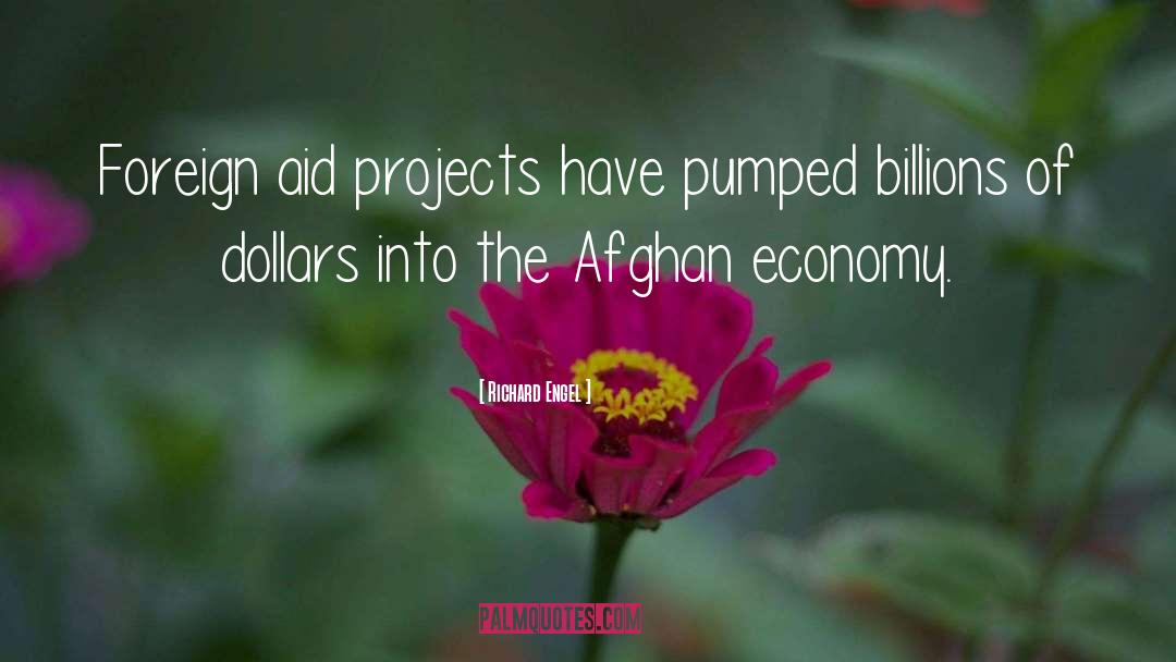 Richard Engel Quotes: Foreign aid projects have pumped