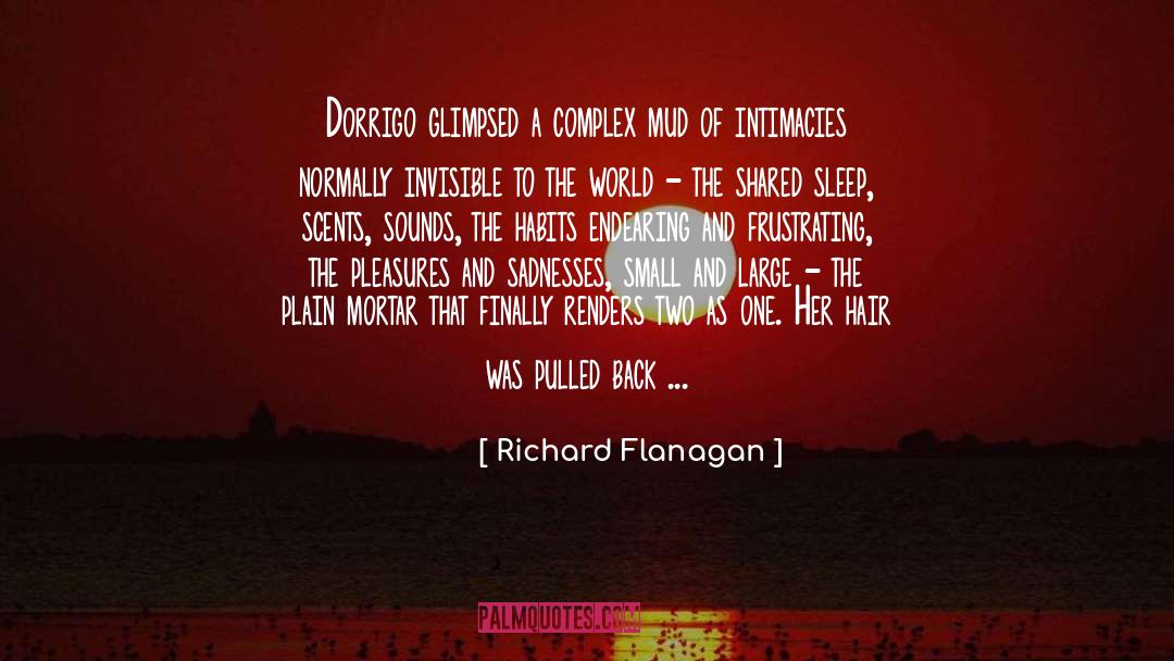 Richard Flanagan Quotes: Dorrigo glimpsed a complex mud