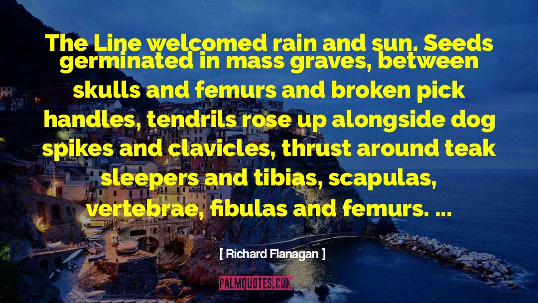 Richard Flanagan Quotes: The Line welcomed rain and