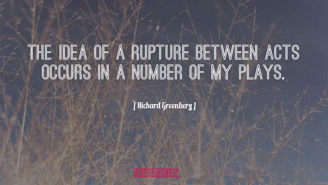 Richard Greenberg Quotes: The idea of a rupture