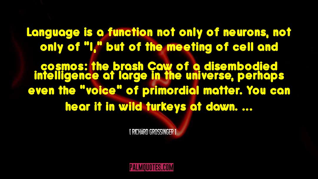 Richard Grossinger Quotes: Language is a function not