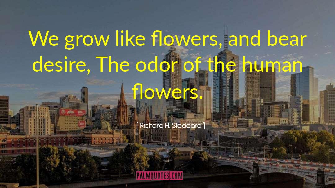 Richard H. Stoddard Quotes: We grow like flowers, and