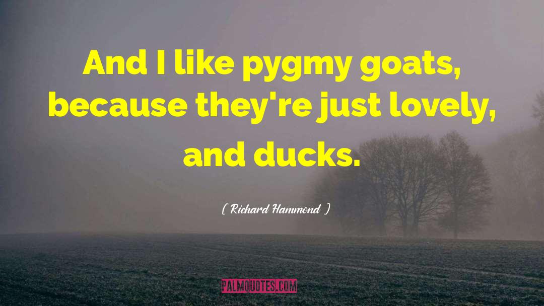 Richard Hammond Quotes: And I like pygmy goats,