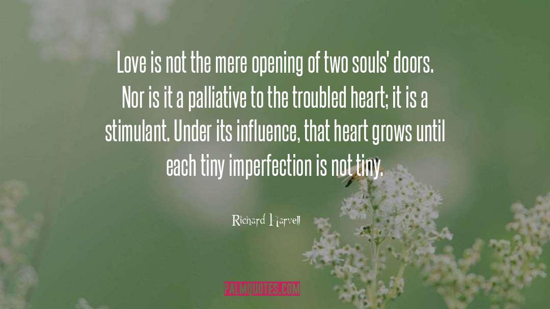 Richard Harvell Quotes: Love is not the mere
