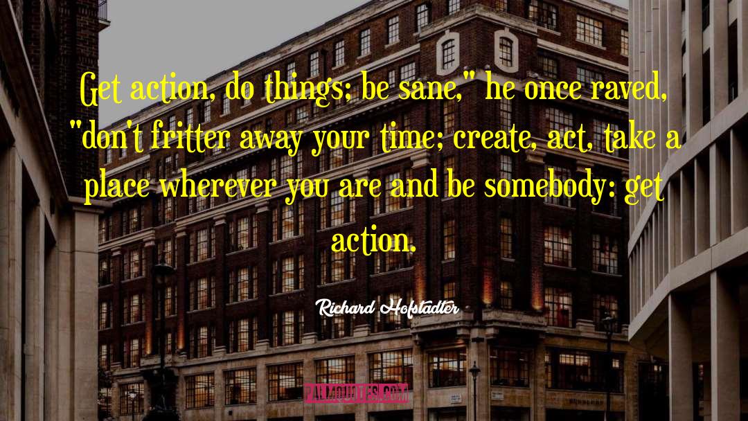 Richard Hofstadter Quotes: Get action, do things; be