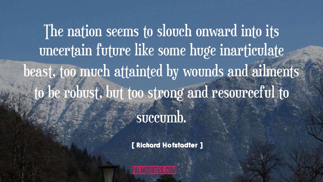 Richard Hofstadter Quotes: The nation seems to slouch