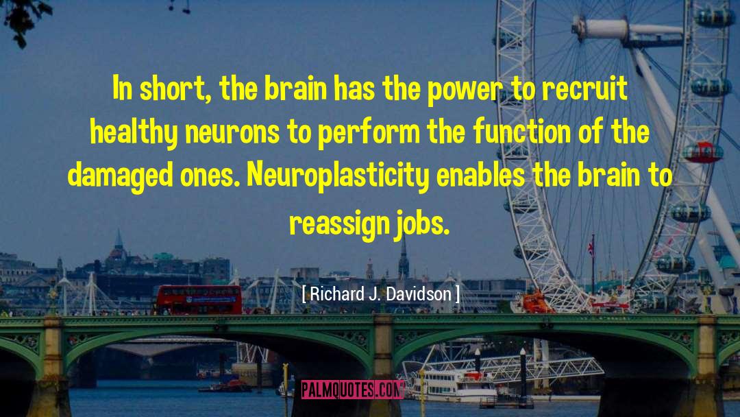Richard J. Davidson Quotes: In short, the brain has