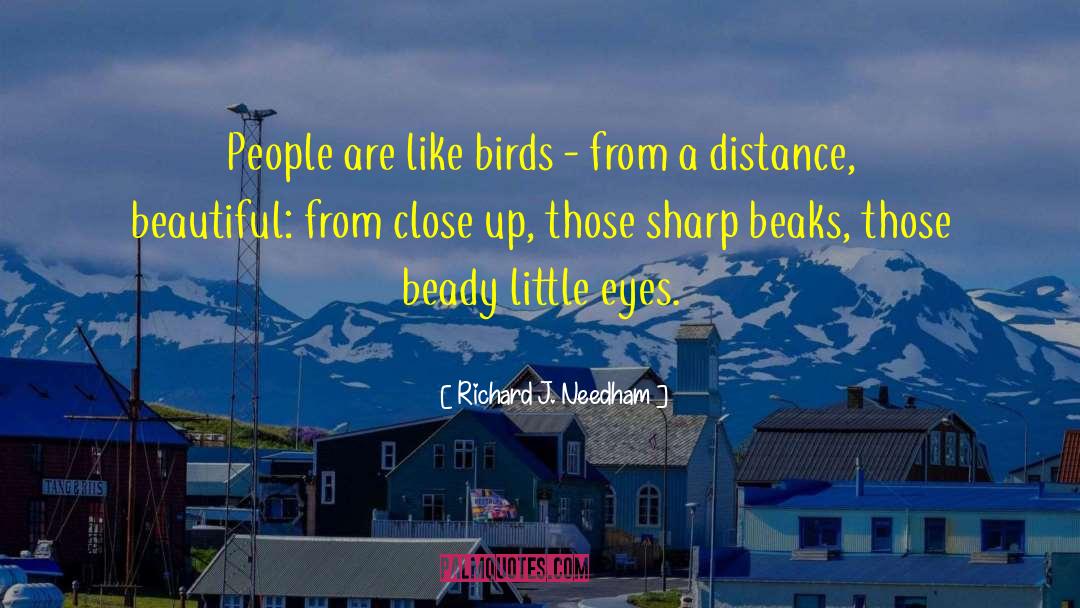 Richard J. Needham Quotes: People are like birds -