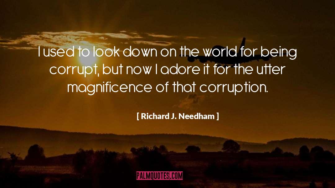 Richard J. Needham Quotes: I used to look down
