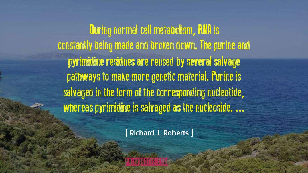 Richard J. Roberts Quotes: During normal cell metabolism, RNA