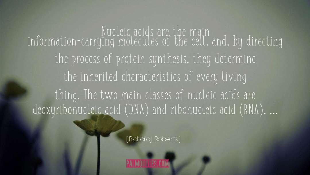 Richard J. Roberts Quotes: Nucleic acids are the main