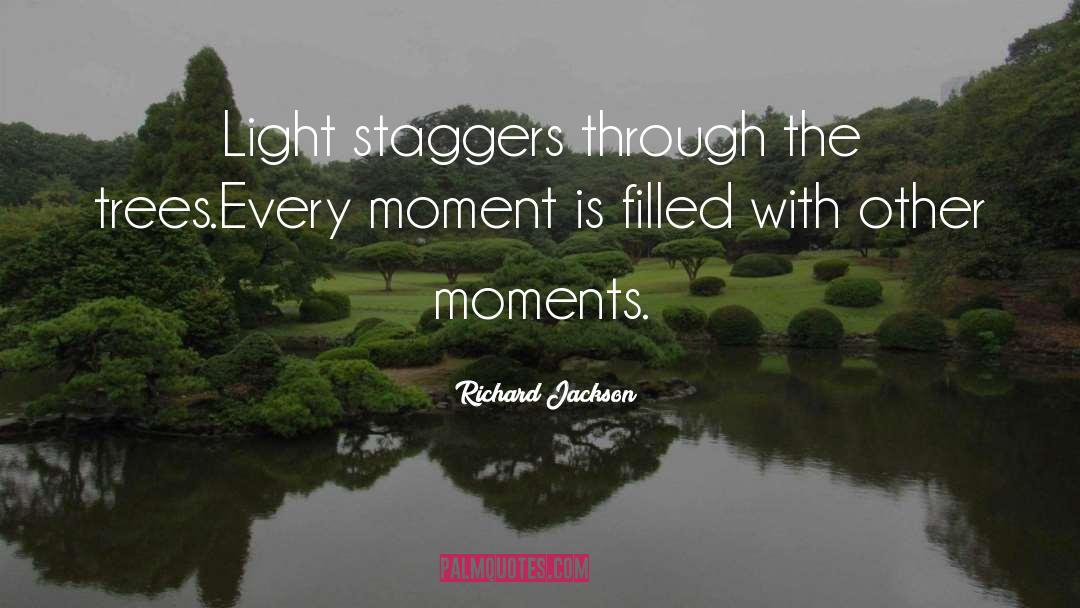 Richard Jackson Quotes: Light staggers through the trees.<br