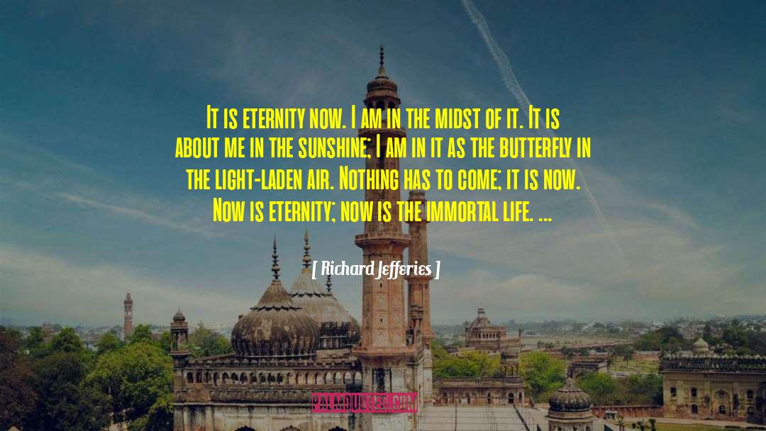 Richard Jefferies Quotes: It is eternity now. I